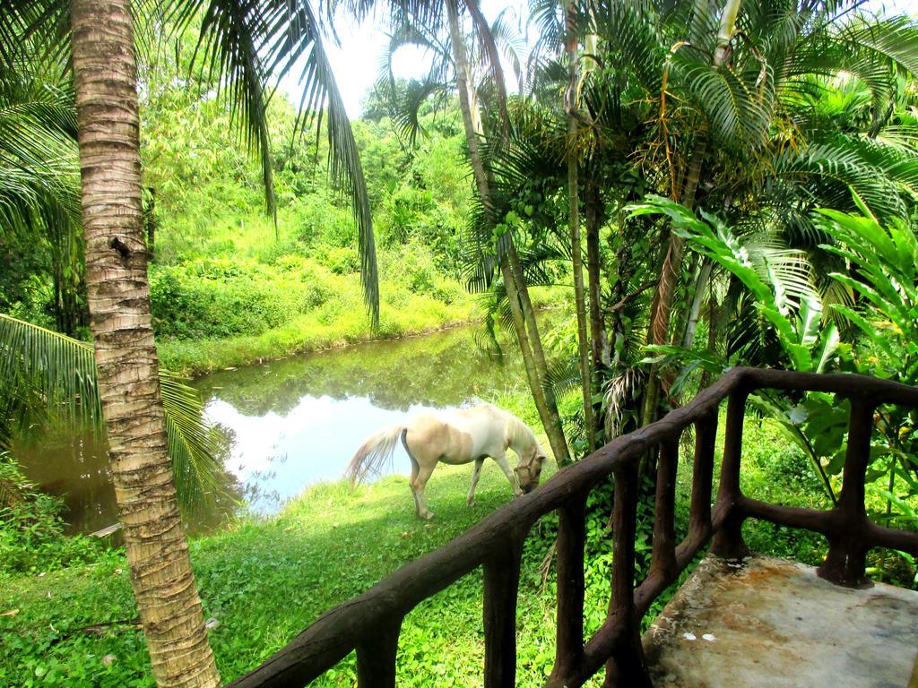 Happiness Resort Ban Klong Haeng Экстерьер фото